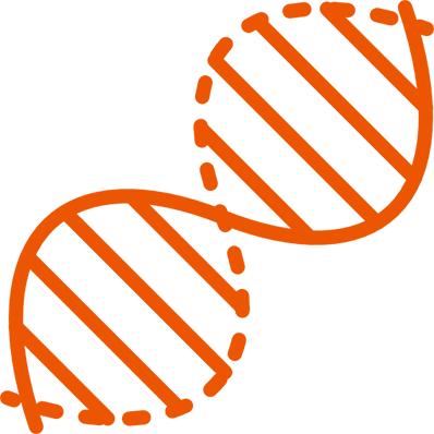 活動・研究内容